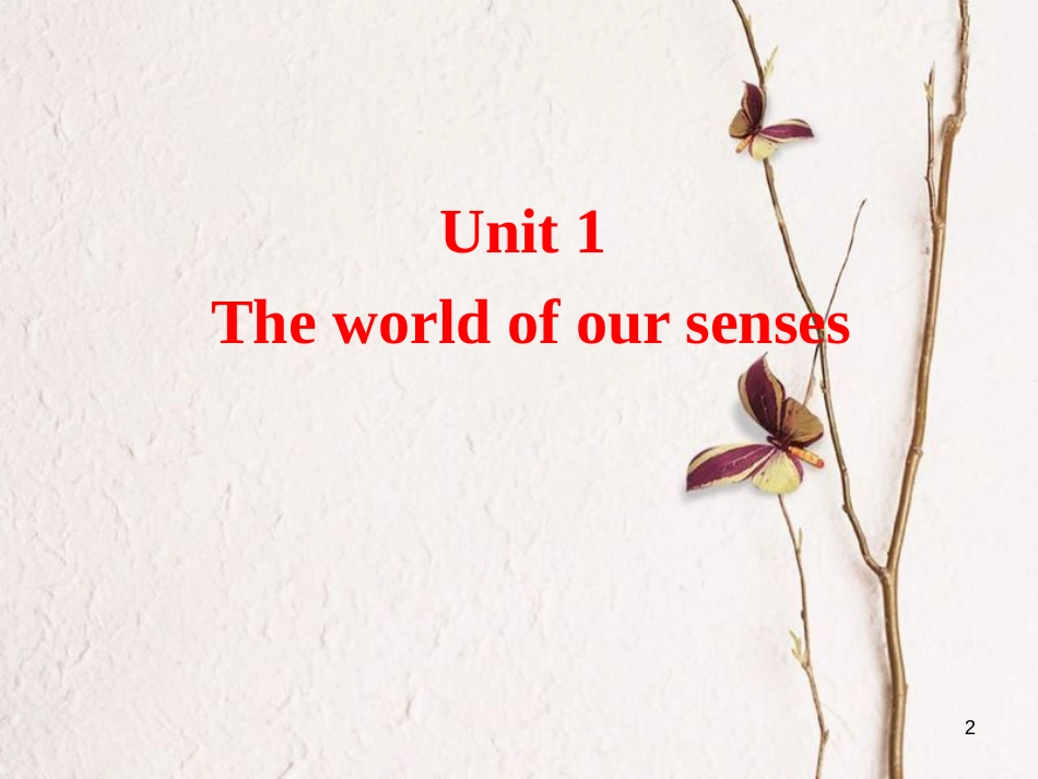 湖南省茶陵县高中英语 Unit 1 The world of our senses Grammar and usage课件 牛津译林版必修3_第2页