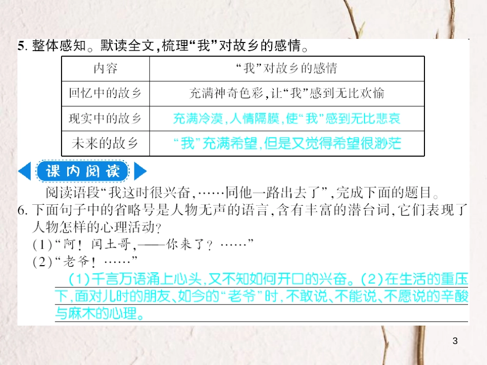 广西北部湾九年级语文上册 第二单元 8 致女儿的信习题课件 （新版）新人教版_第3页