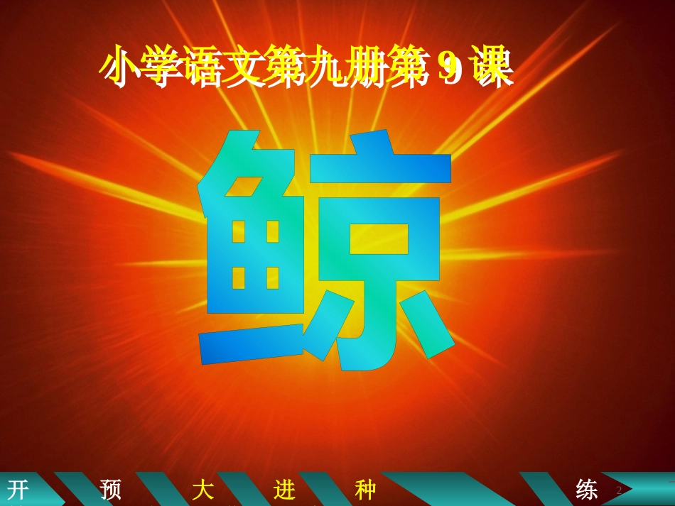 五年级语文上册 第9课 鲸课件2 新人教版_第2页