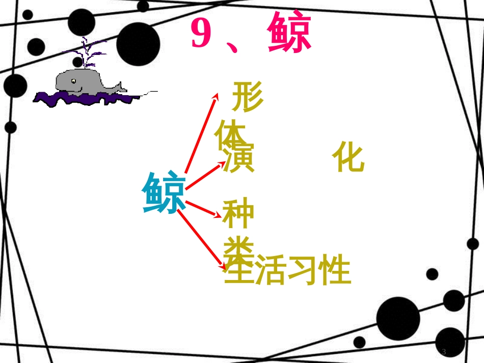 五年级语文上册 第9课 鲸课件2 新人教版_第3页