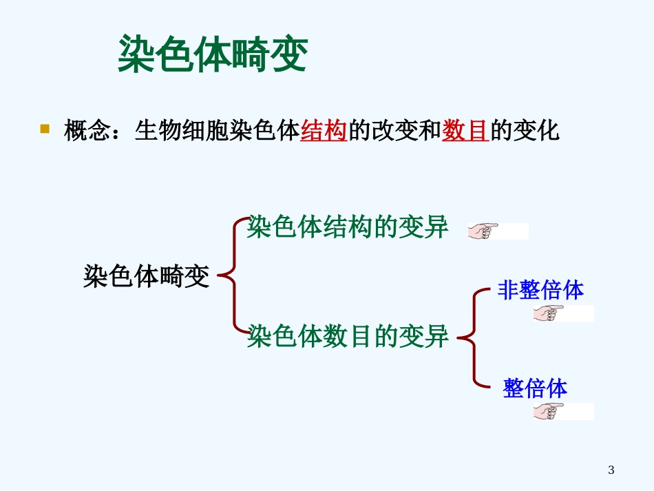 高中生物： 染色体变异 课件浙科版必修2_第3页