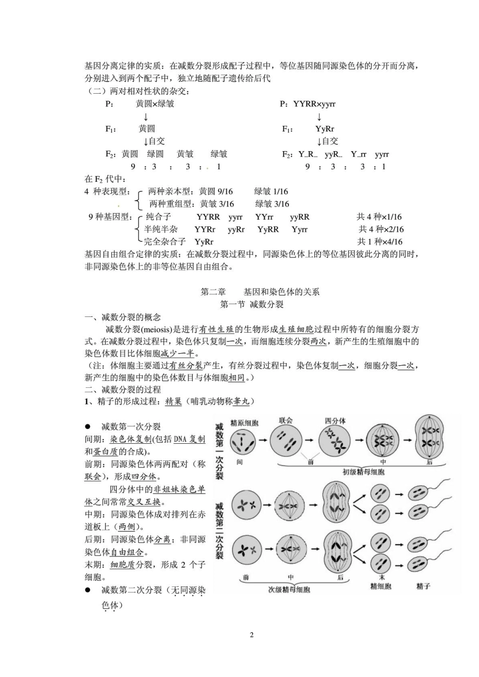 高中生物必修二知识点总结(人教版复习提纲)期末必备_第2页