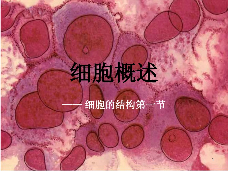 高中生物 第二章第一节细胞概述课件 浙教版必修1_第1页