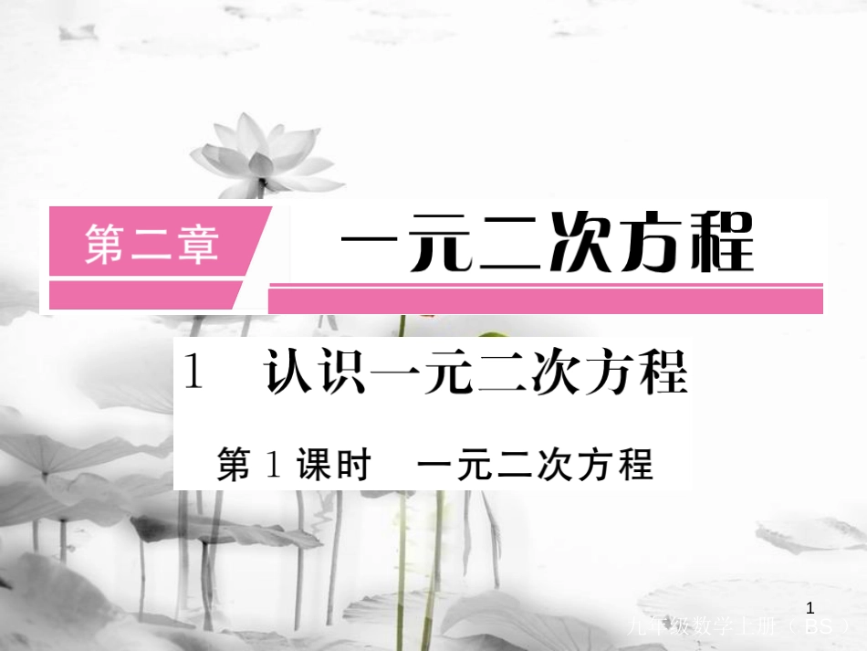 （江西专用）九年级数学上册2.1认识一元二次方程第1课时一元二次方程讲练课件（新版）北师大版_第1页