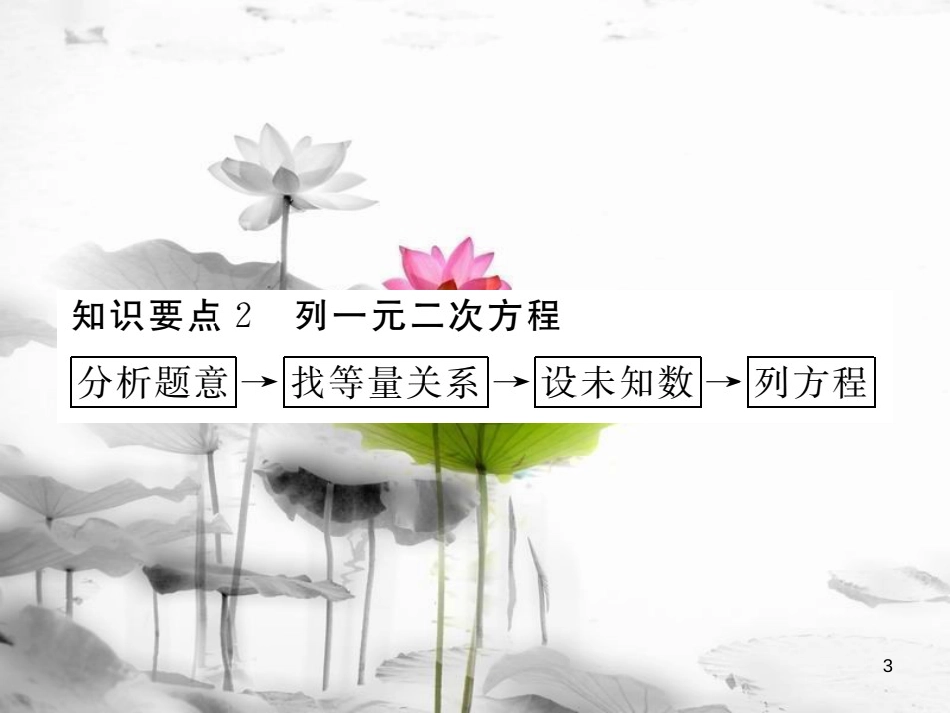 （江西专用）九年级数学上册2.1认识一元二次方程第1课时一元二次方程讲练课件（新版）北师大版_第3页