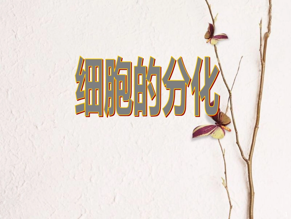 辽宁省北票市高中生物 第六章 细胞的生命历程 6.2 细胞的分化课件 新人教版必修1_第1页