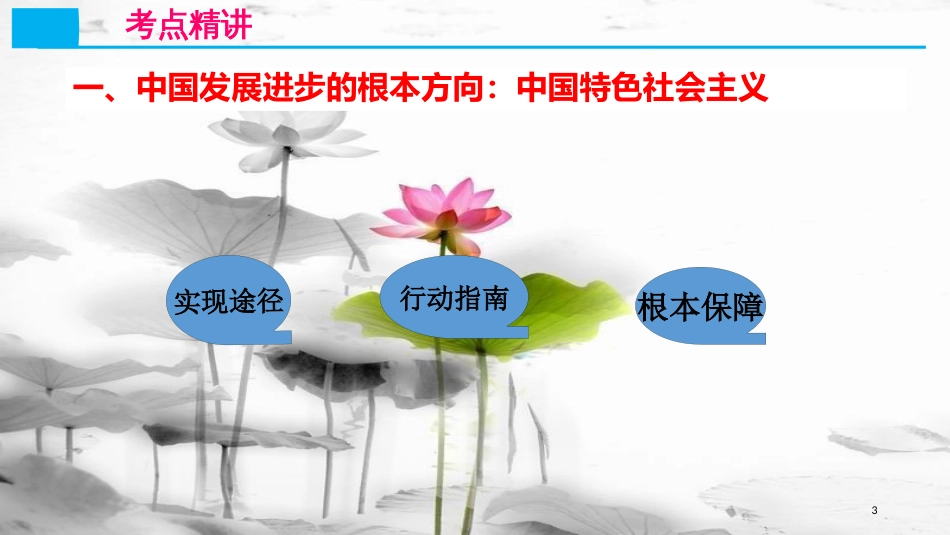 高考政治第七单元发展社会主义民主政治课时3我国的民族区域自治制度及宗教政策核心考点三中国特色社会主义课件新人教版必修2_第3页