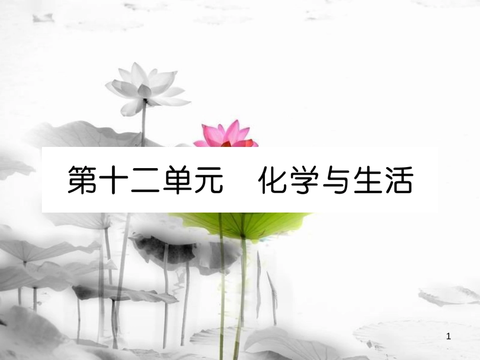 中考化学总复习第一编第12单元化学与生活（精讲）课件_第1页