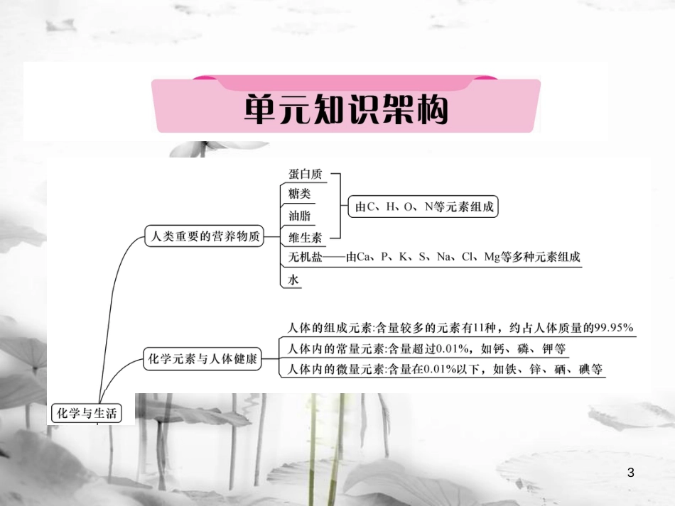 中考化学总复习第一编第12单元化学与生活（精讲）课件_第3页