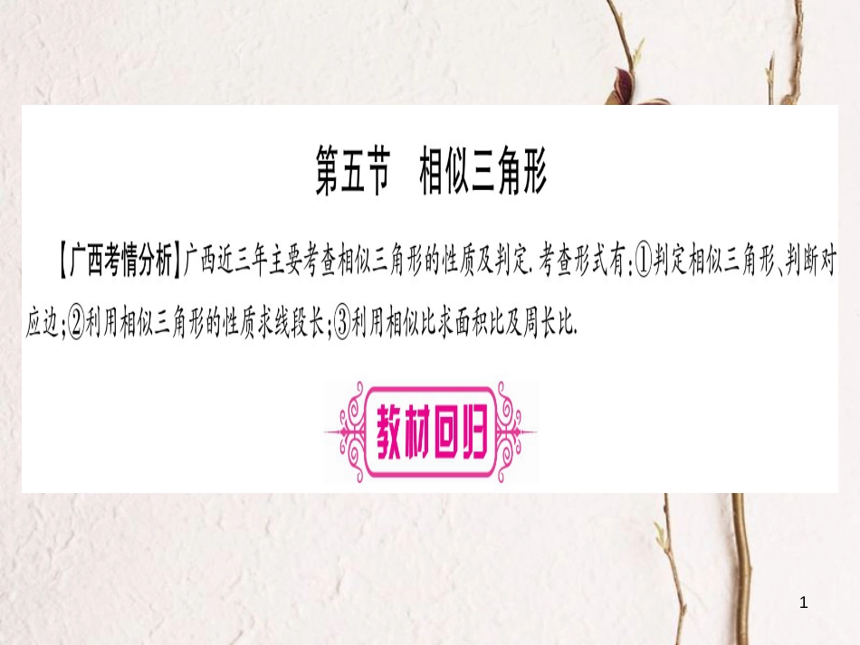 （广西北部湾专版）中考数学总复习第一轮考点系统复习第4章三角形第5节相似三角形课件新人教版_第1页