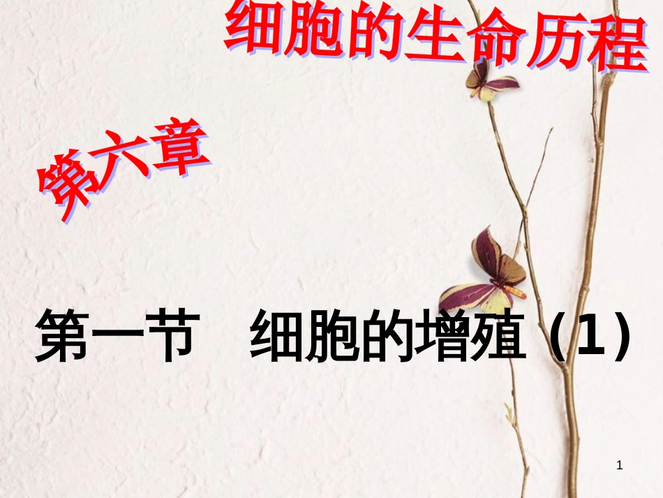 辽宁省北票市高中生物 第六章 细胞的生命历程 6.1 细胞的增殖（1）课件 新人教版必修1_第1页