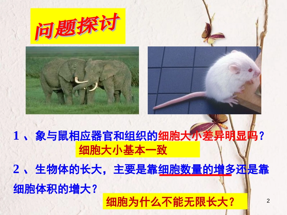 辽宁省北票市高中生物 第六章 细胞的生命历程 6.1 细胞的增殖（1）课件 新人教版必修1_第2页