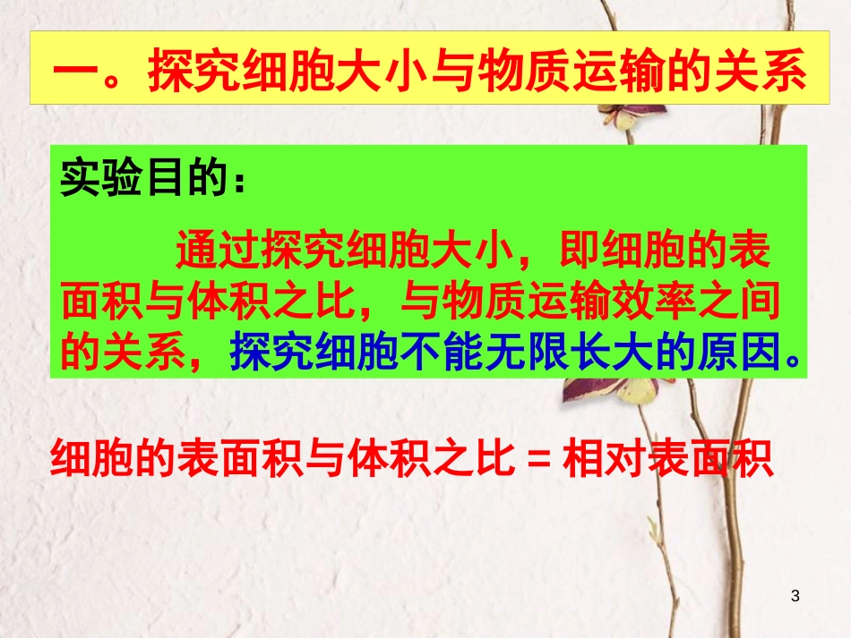 辽宁省北票市高中生物 第六章 细胞的生命历程 6.1 细胞的增殖（1）课件 新人教版必修1_第3页