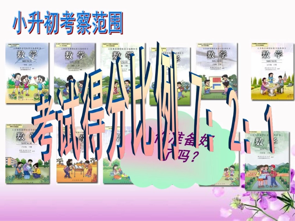 小升初数学总复习_ppt_第2页