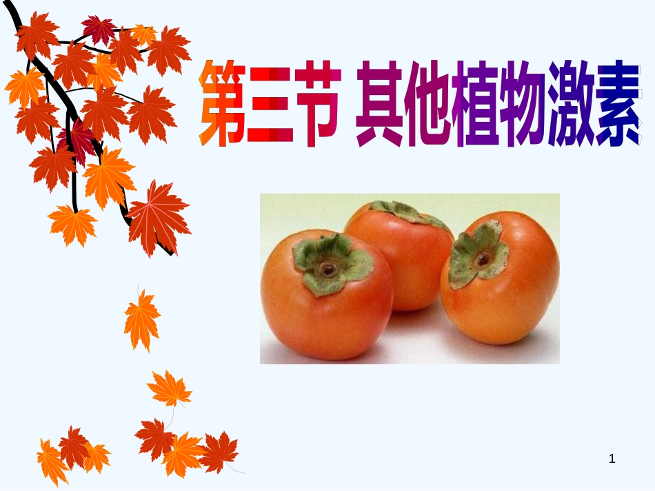 高中生物 稳态与环境其他植物激素 新人教版必修3_第1页