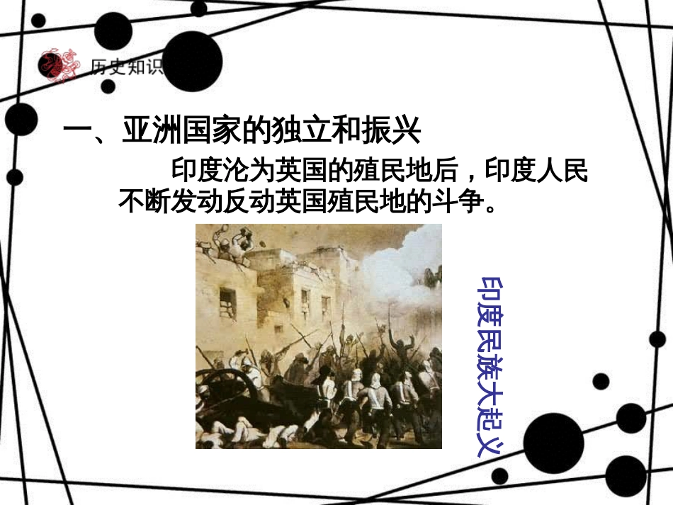 九年级历史下册 第6单元 亚非拉国家的独立和振兴 12 亚非拉的奋起课件 新人教版_第3页