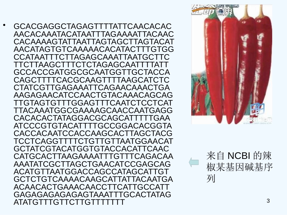 高中生物 第三章第四节 遗传信息的表达-RNA和蛋白质的合成课件2 浙科版必修2_第3页