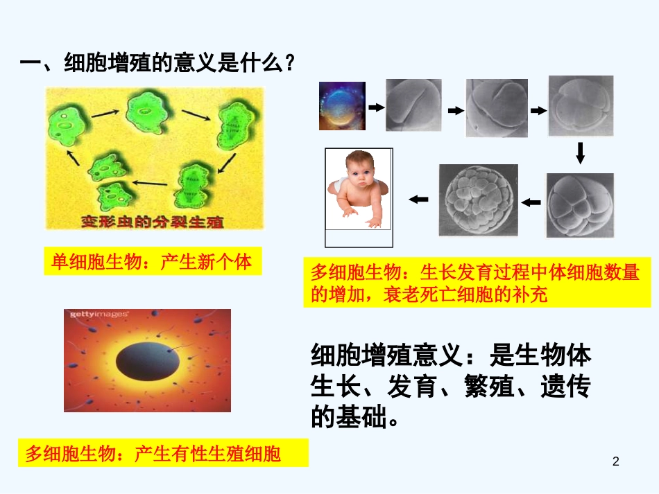 高中生物《第六章 第一节 细胞的增殖》课件2 新人教版必修1_第2页