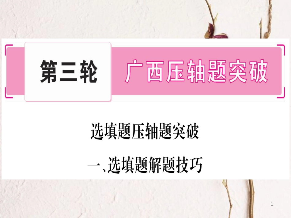 （广西北部湾专版）中考数学总复习第三轮压轴题突破1、选填题压题技巧课件新人教版_第1页