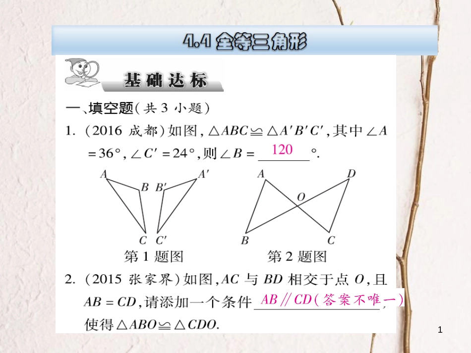 云南省中考数学总复习 第四章 三角形 4.4 全等三角形课件_第1页