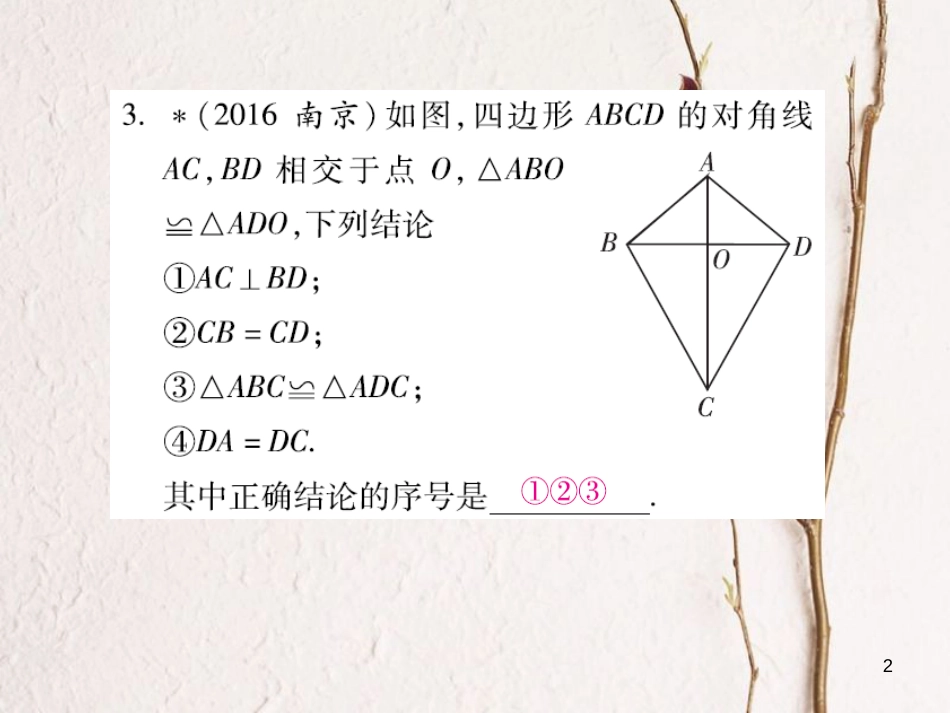 云南省中考数学总复习 第四章 三角形 4.4 全等三角形课件_第2页