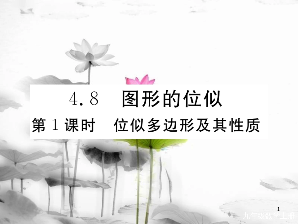 （河南专用）九年级数学上册4.8图形的位似第1课时位似多边形及其性质作业课件（新版）北师大版_第1页