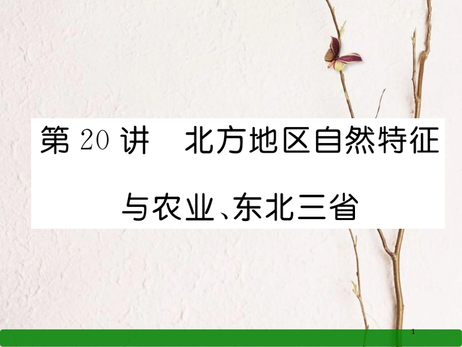 湖北省襄阳市中考地理 第20讲 北方地区自然特征与农业复习课件2_第1页