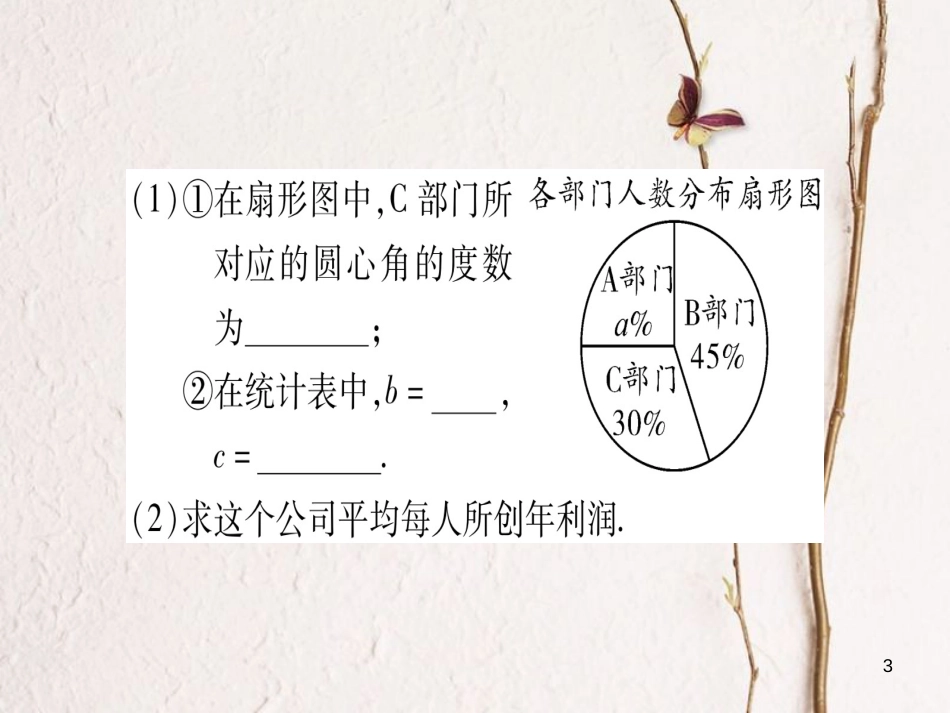 （安徽专版）中考数学总复习第二轮中档题突破专项突破7统计与概率课件_第3页