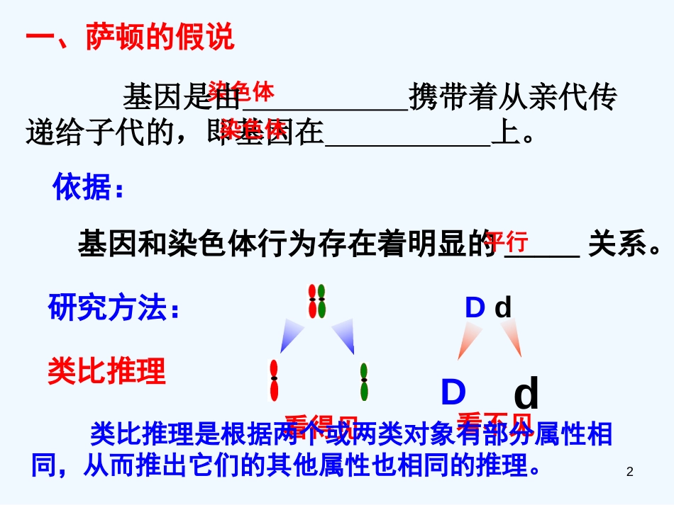 高中生物 第2章第2节 基因在染色体上课件 新人教版必修2_第2页