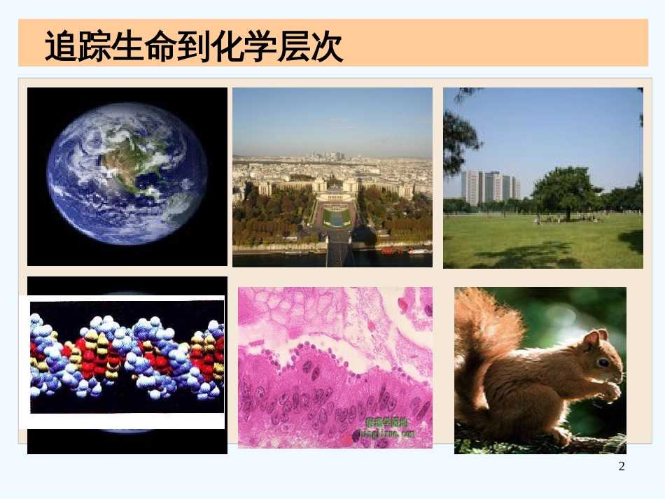 高中生物《分子和离子》课件5 浙教版必修1_第2页