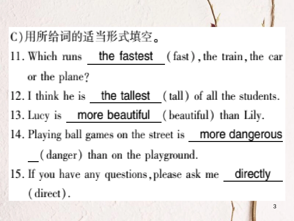 广西北部湾八年级英语上册 Module 4 Planes, ships and trains Unit 3 Language in use习题课件 （新版）外研版_第3页