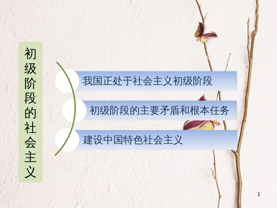 九年级政治全册 第一单元 认识国情 了解制度 1.1 初级阶段的社会主义课件 粤教版_第1页