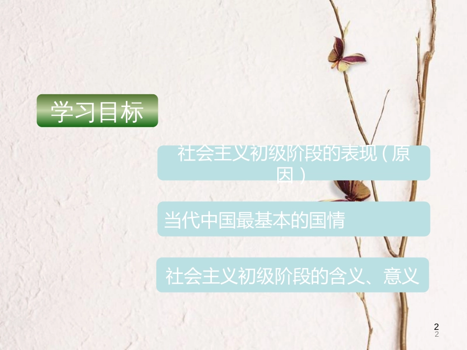 九年级政治全册 第一单元 认识国情 了解制度 1.1 初级阶段的社会主义课件 粤教版_第2页