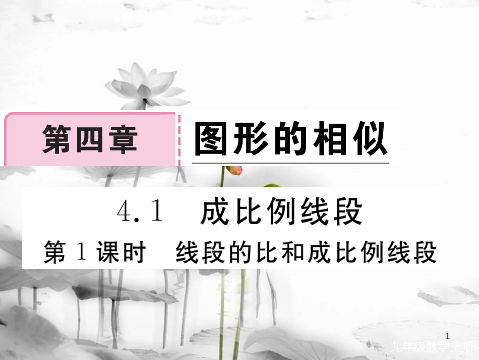 （河南专用）九年级数学上册4.1成比例线段第1课时线段的比和成比例线段作业课件（新版）北师大版_第1页