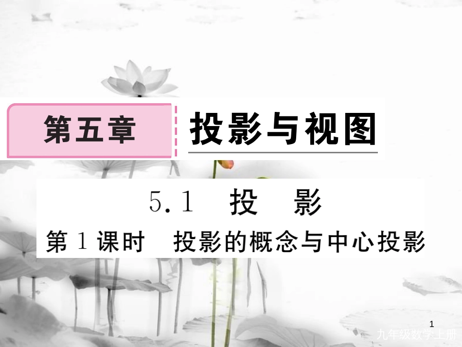 （河南专用）九年级数学上册 5.1 投影 第1课时 投影的概念与中心投影作业课件 （新版）北师大版_第1页