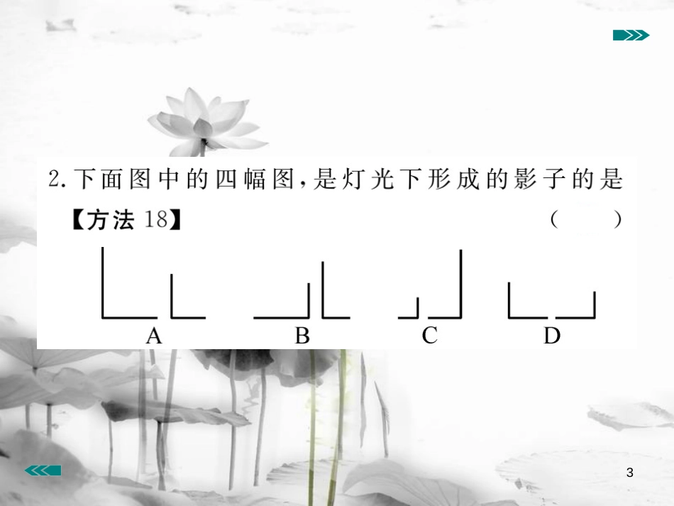 （河南专用）九年级数学上册 5.1 投影 第1课时 投影的概念与中心投影作业课件 （新版）北师大版_第3页