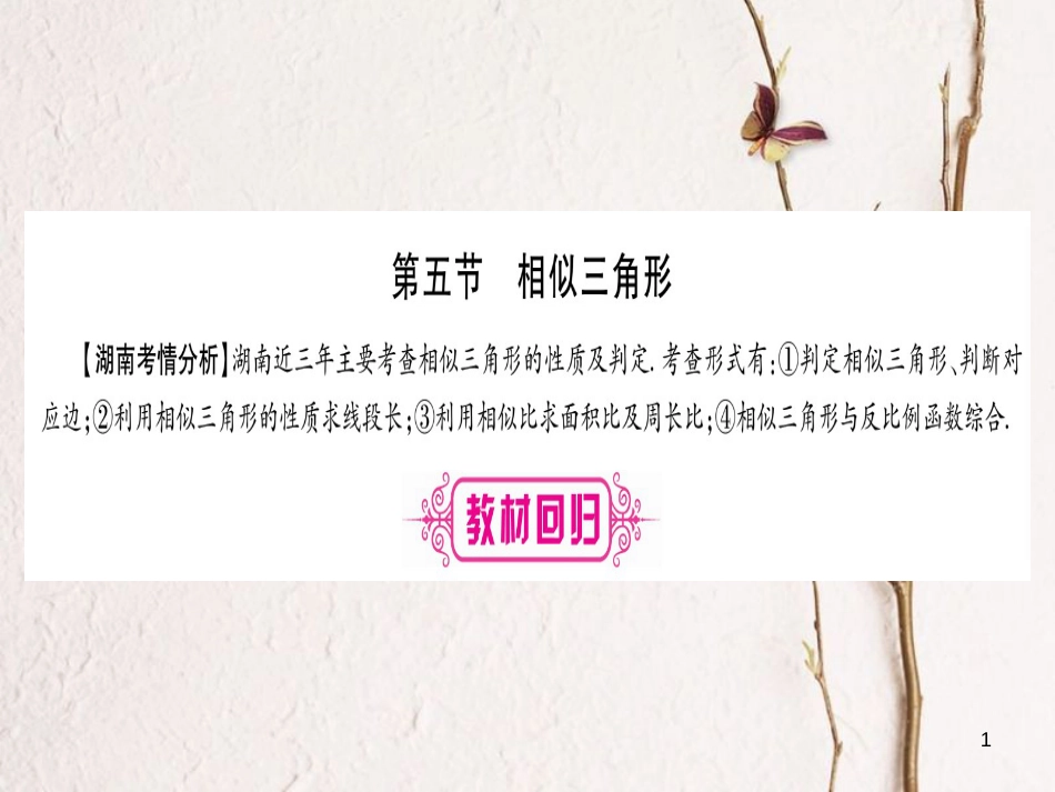 （湖南专版）中考数学总复习第一轮考点系统复习第4章三角形第5节相似三角形课件_第1页