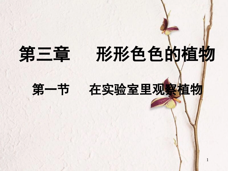 七年级生物上册 第三章 第一节 在实验室里观察植物课件 （新版）冀教版_第1页