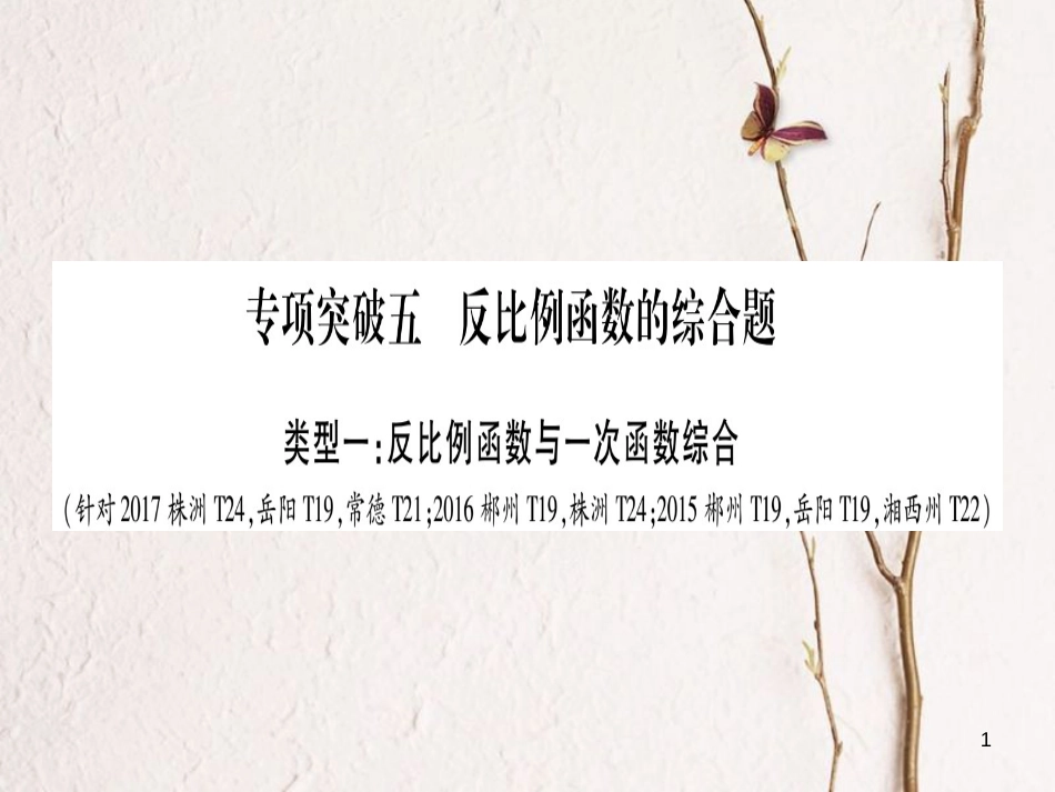 （湖南专版）中考数学总复习第二轮湖南中档题突破专项突破5反比例函数的综合题课件_第1页