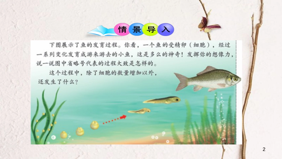 七年级生物上册 第二单元 第二章 第二节《动物体的结构层次》课件 （新版）新人教版_第2页