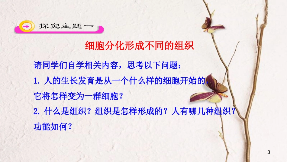 七年级生物上册 第二单元 第二章 第二节《动物体的结构层次》课件 （新版）新人教版_第3页