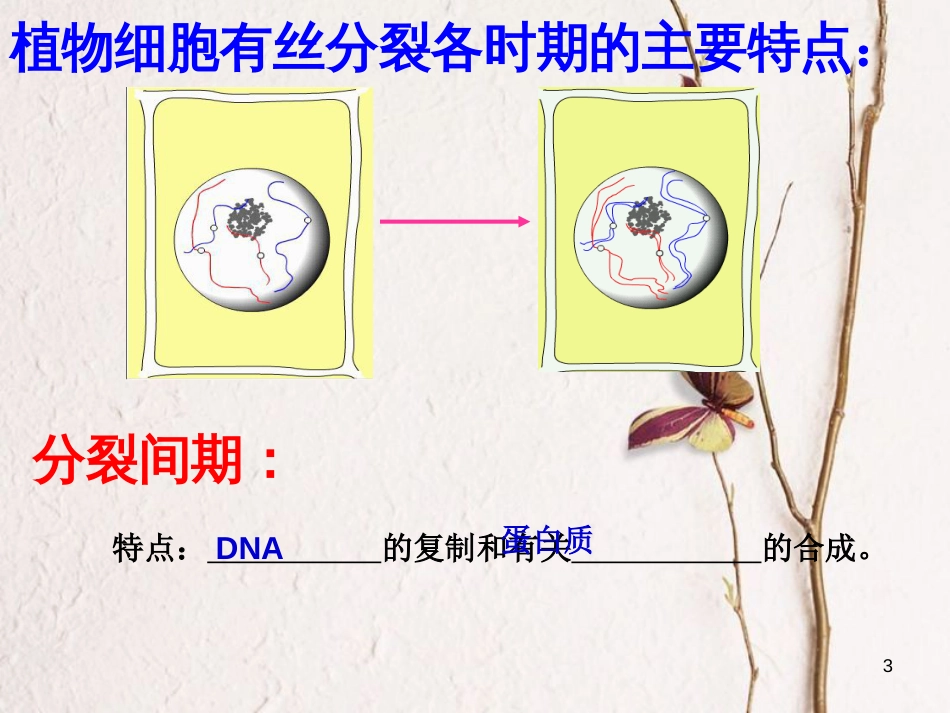 浙江省台州市高中生物 第四章 细胞的增殖与分化 4.1 细胞的增殖（第2课时）课件 浙科版必修1_第3页