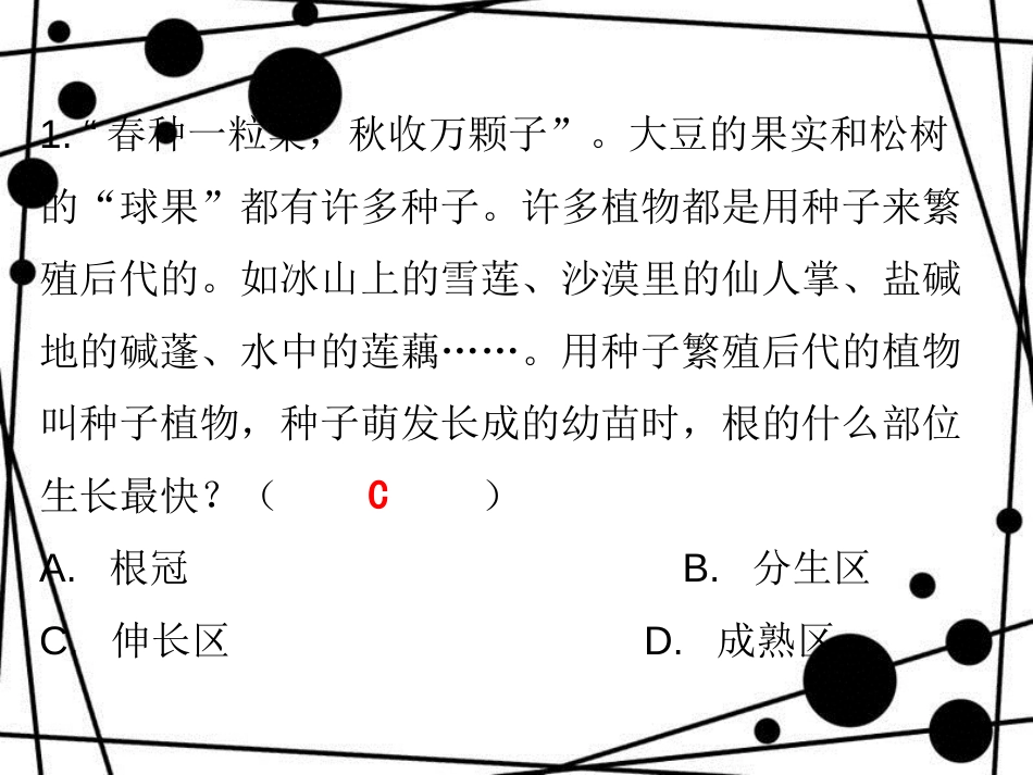 七年级生物上册 第三单元 第二章 第二节 植株的生长课堂十分钟课件 （新版）新人教版_第2页