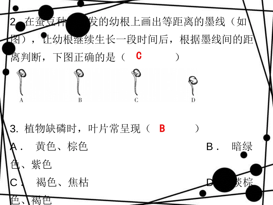 七年级生物上册 第三单元 第二章 第二节 植株的生长课堂十分钟课件 （新版）新人教版_第3页