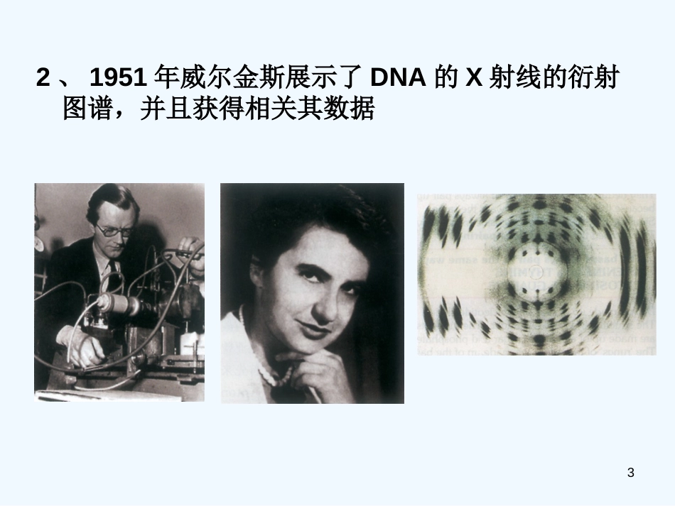 高中生物 第3章 第二节 DNA分子的结构课件 新人教版必修2_第3页