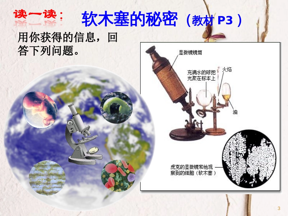 七年级生物下册 第四单元 第8章 生物体有相同的基本结构课件 （新版）苏科版_第3页