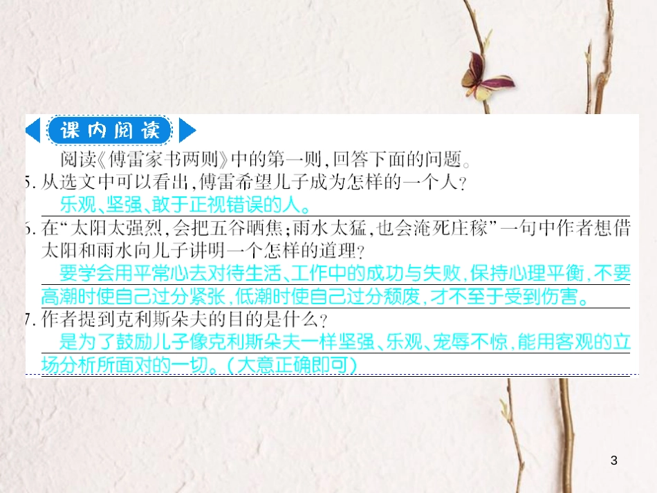 广西北部湾九年级语文上册 第二单元 7 傅雷家书两则习题课件 （新版）新人教版_第3页