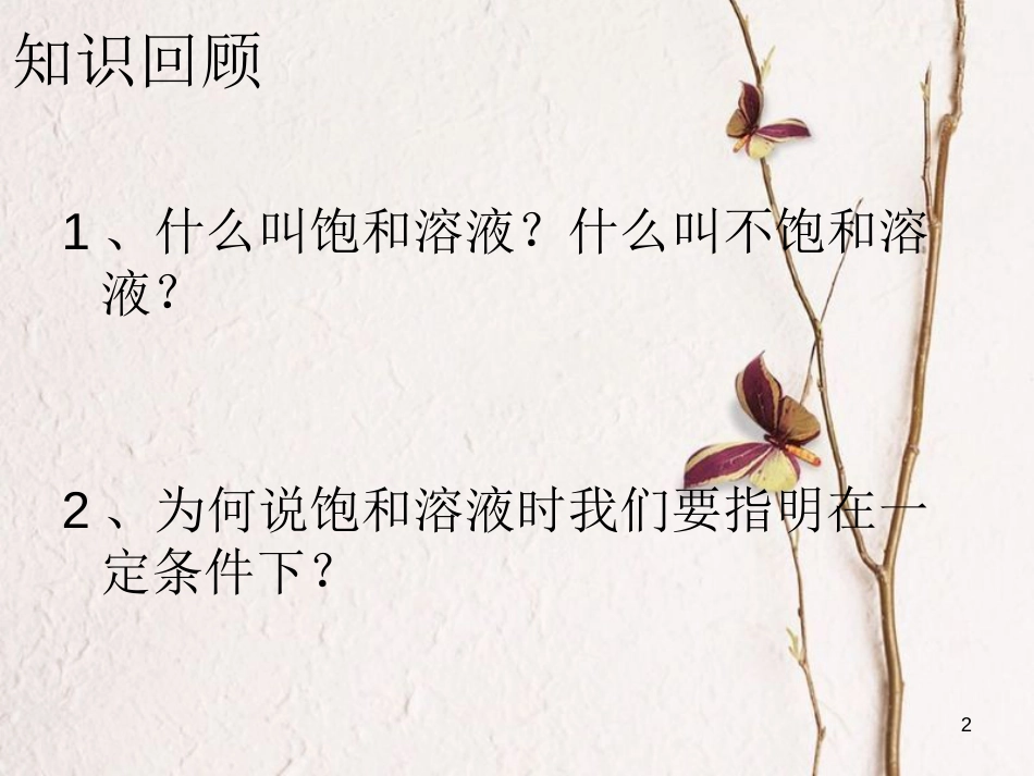 江西省赣州市定南县九年级化学下册 第九单元 溶液 课题2 溶解度（第2课时）课件 （新版）新人教版_第2页