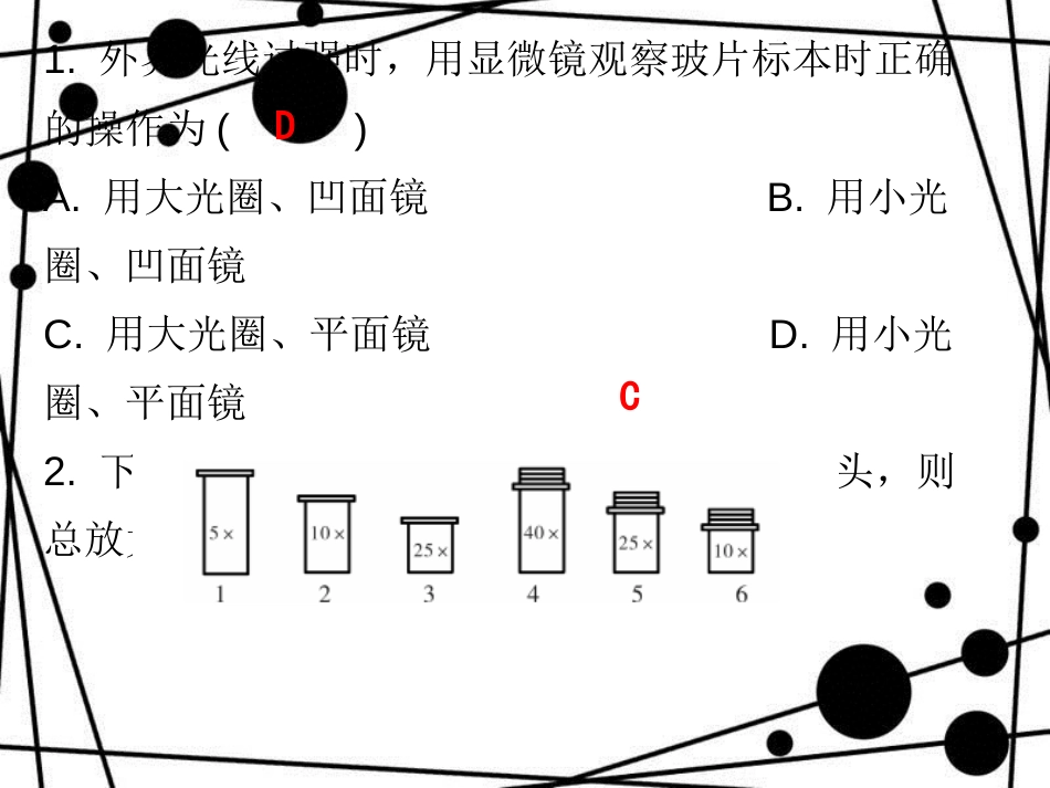 七年级生物上册 第二单元 第一章 第一节 练习使用显微镜课堂十分钟课件 （新版）新人教版_第2页