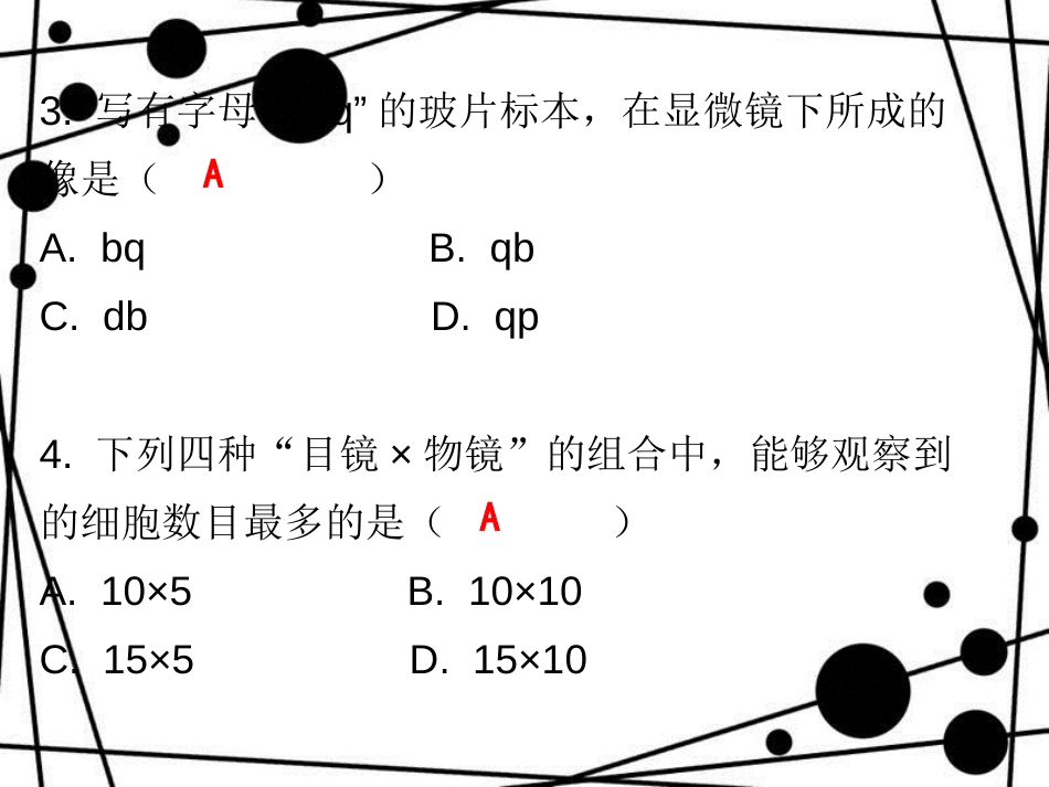 七年级生物上册 第二单元 第一章 第一节 练习使用显微镜课堂十分钟课件 （新版）新人教版_第3页